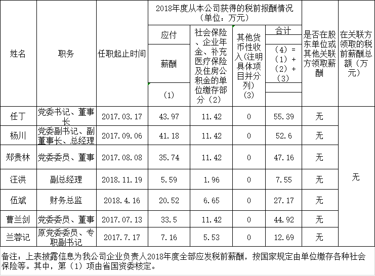 四川省尊龍集團有限責任公司負責人2018年度薪酬情況