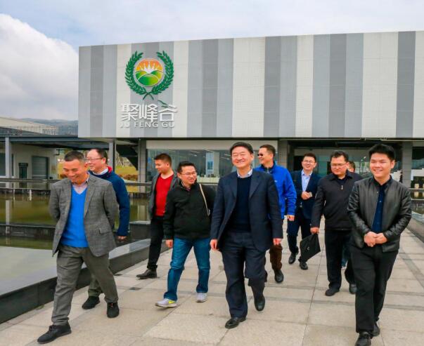 集團(tuán)黨委書記、董事長任丁率隊調(diào)研聚峰谷