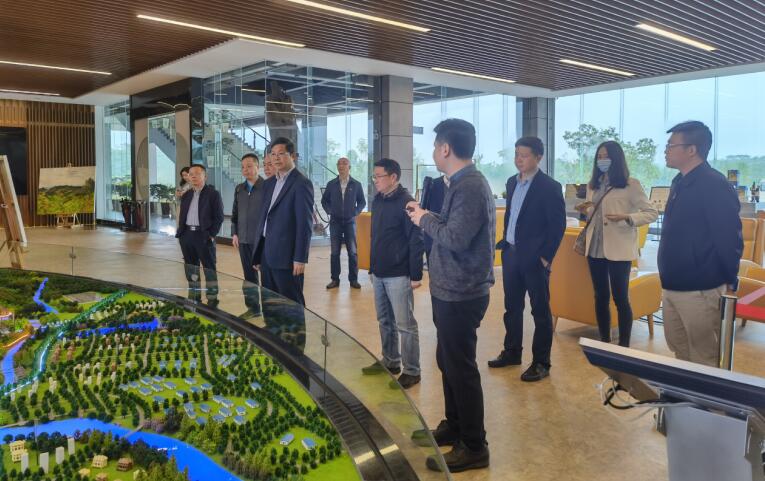 廣西旅發集團黨委書記、董事長容賢標考察集團文旅項目