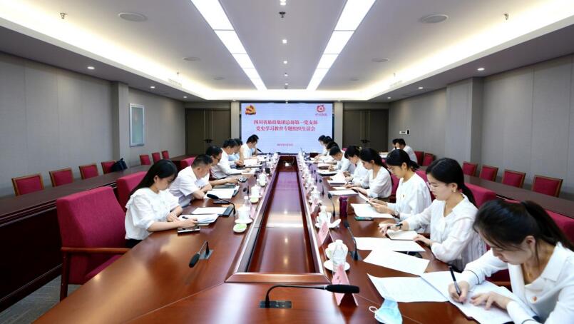尊龍凱時集團黨委書記、董事長任丁參加總部第一黨支部黨史學習教育專題組織生活會