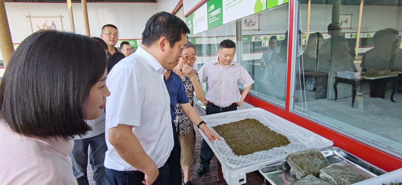 省尊龍凱時集團黨委副書記、董事陳日赴嘉陵區調研茶桑產業發展情況