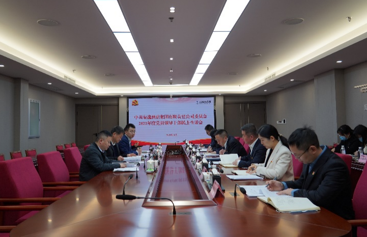 尊龍凱時集團黨委書記、董事長任丁出席安逸酒店集團2022年度黨員領導干部民主生活會